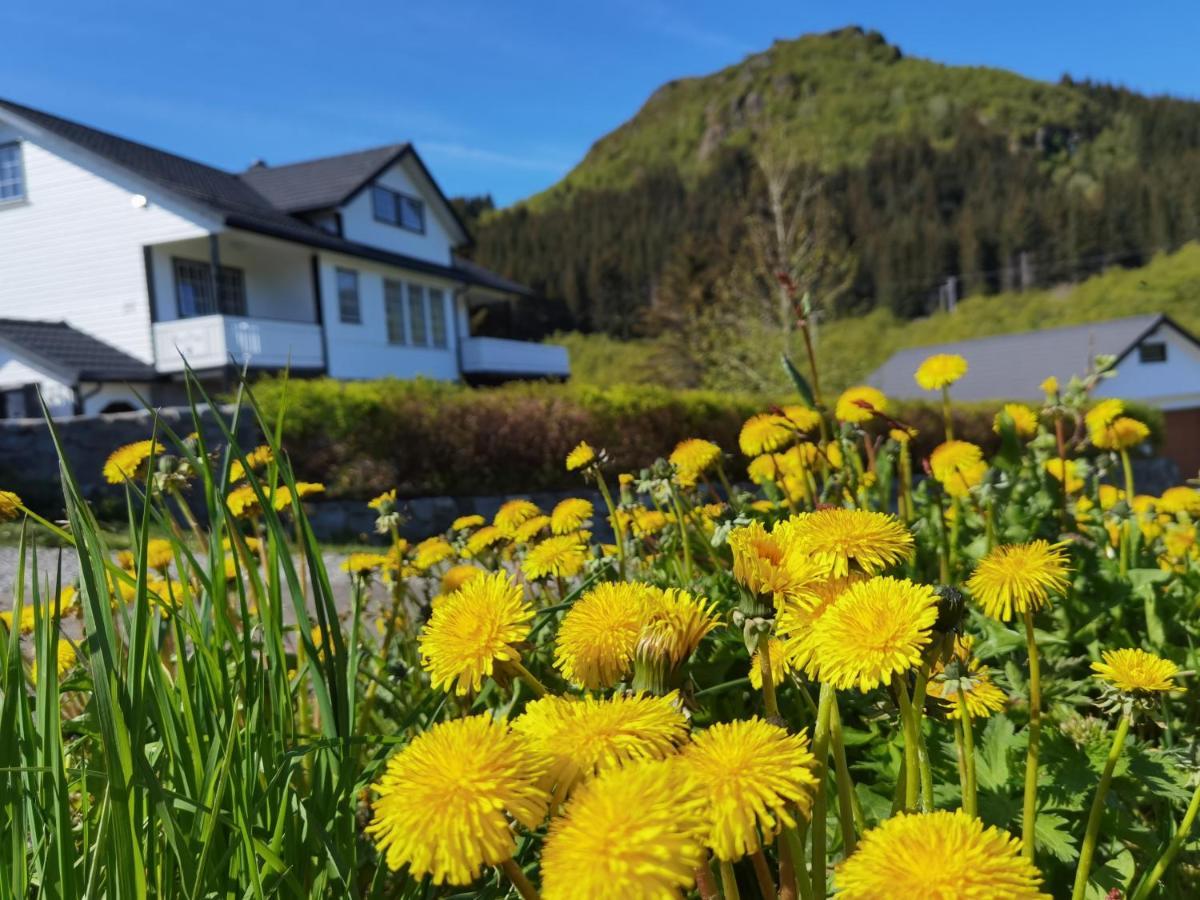 Banpim Hillside Lofoten With Jacusszi Gravdal  Экстерьер фото