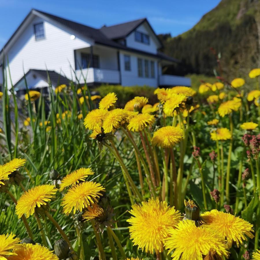 Banpim Hillside Lofoten With Jacusszi Gravdal  Экстерьер фото